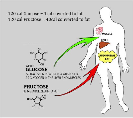 fructose-and-glucose