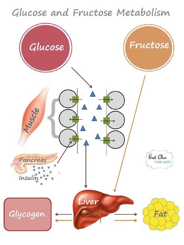 fructose_and_Glucose